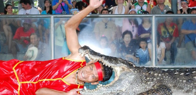 THE MILLION YEARS STONE PARK & PATTAYA CROCODILE FARM